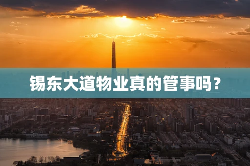 锡东大道物业真的管事吗？