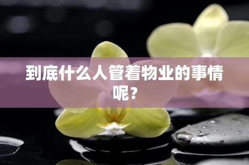 到底什么人管着物业的事情呢？