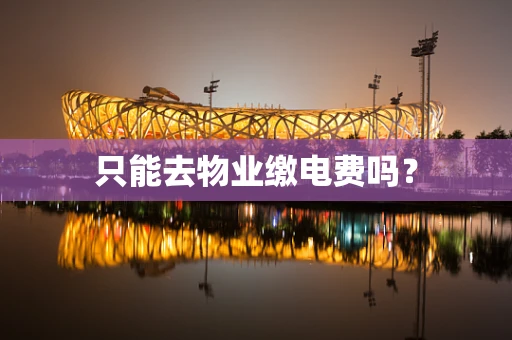 只能去物业缴电费吗？