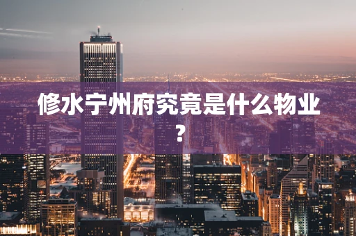 修水宁州府究竟是什么物业？