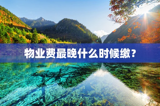 物业费最晚什么时候缴？