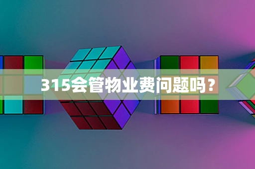 315会管物业费问题吗？