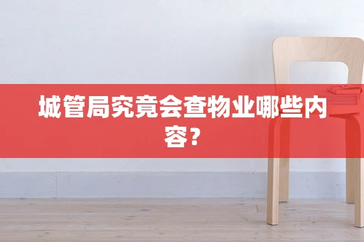 城管局究竟会查物业哪些内容？