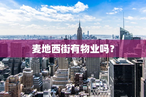 麦地西街有物业吗？