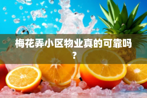 梅花弄小区物业真的可靠吗？