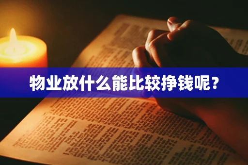 物业放什么能比较挣钱呢？