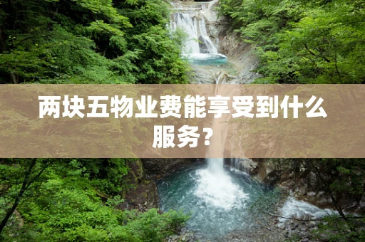 两块五物业费能享受到什么服务？