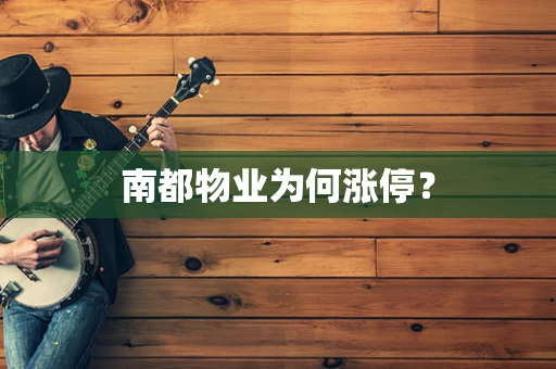 南都物业为何涨停？