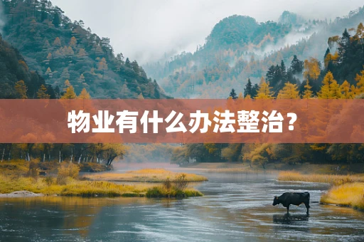物业有什么办法整治？