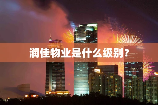 润佳物业是什么级别？