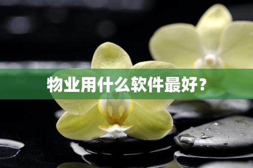 物业用什么软件最好？