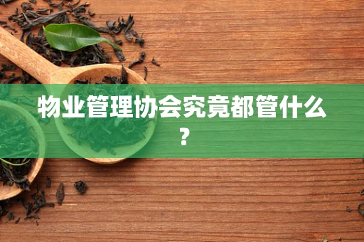 物业管理协会究竟都管什么？