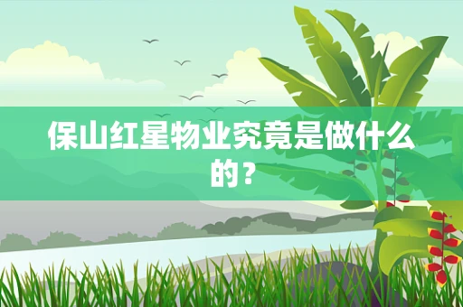 保山红星物业究竟是做什么的？