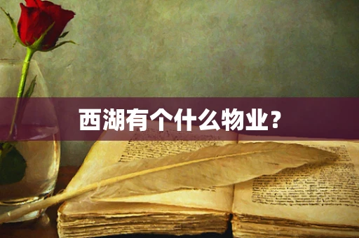 西湖有个什么物业？