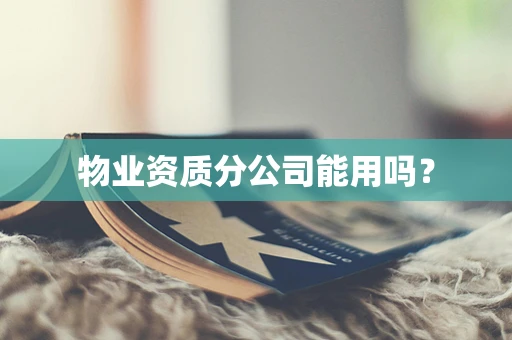 物业资质分公司能用吗？