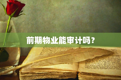 前期物业能审计吗？