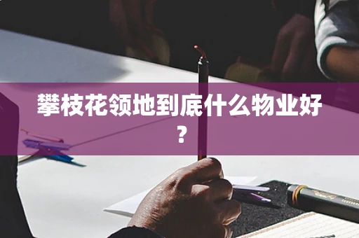 攀枝花领地到底什么物业好？