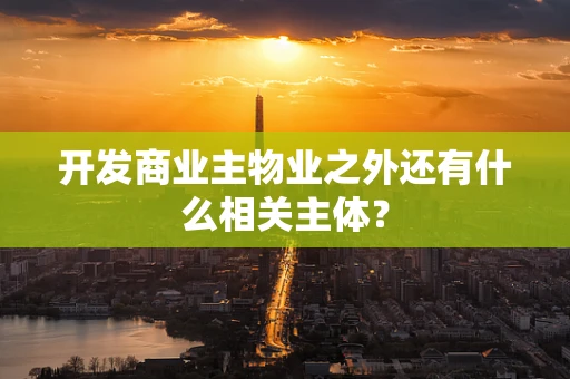 开发商业主物业之外还有什么相关主体？