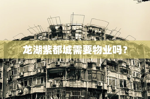 龙湖紫都城需要物业吗？
