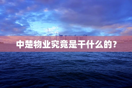 中楚物业究竟是干什么的？