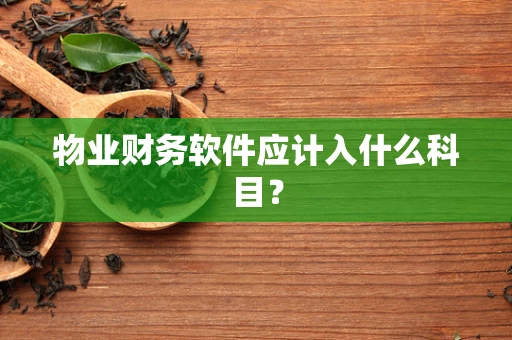 物业财务软件应计入什么科目？