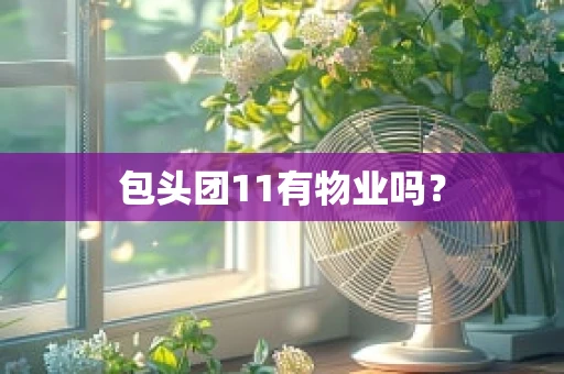 包头团11有物业吗？