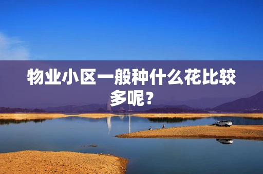 物业小区一般种什么花比较多呢？