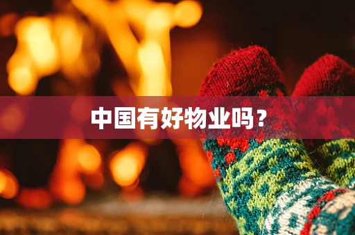 中国有好物业吗？