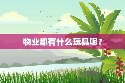 物业都有什么玩具呢？