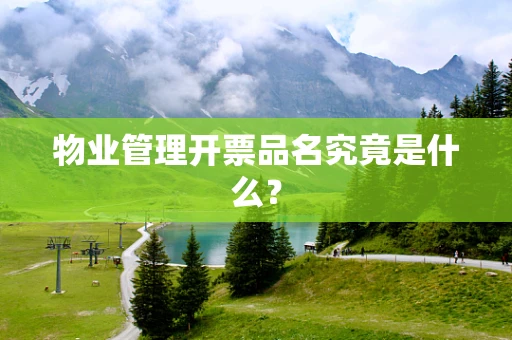 物业管理开票品名究竟是什么？