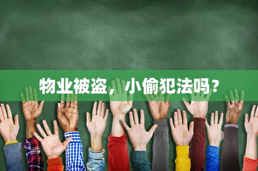 物业被盗，小偷犯法吗？