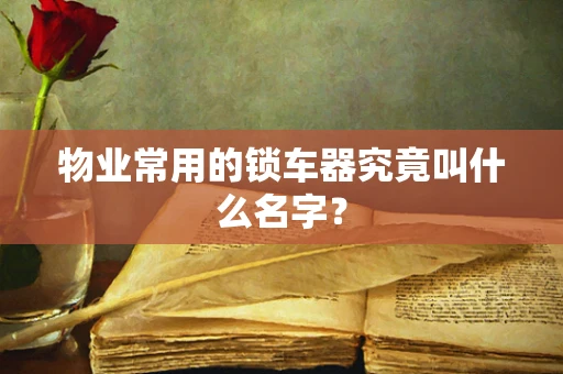 物业常用的锁车器究竟叫什么名字？