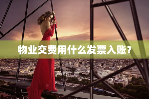 物业交费用什么发票入账？