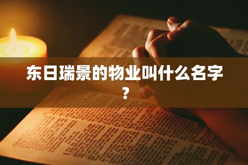 东日瑞景的物业叫什么名字？