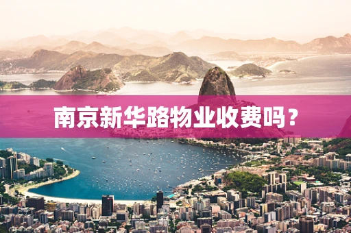 南京新华路物业收费吗？