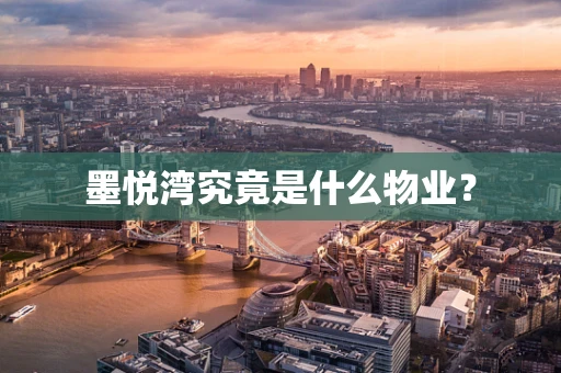 墨悦湾究竟是什么物业？