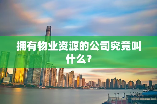 拥有物业资源的公司究竟叫什么？