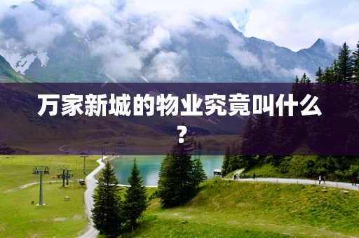 万家新城的物业究竟叫什么？