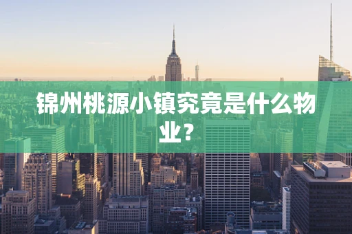 锦州桃源小镇究竟是什么物业？