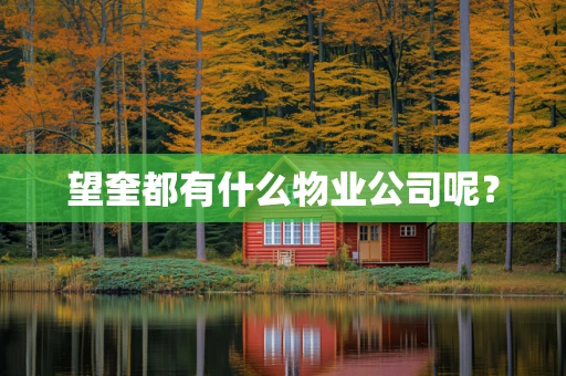 望奎都有什么物业公司呢？
