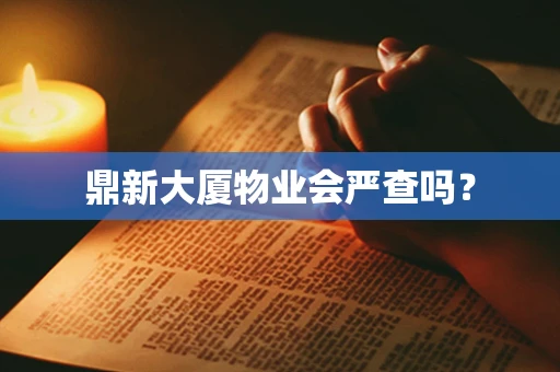 鼎新大厦物业会严查吗？