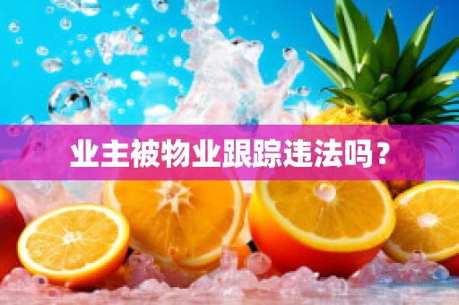 业主被物业跟踪违法吗？