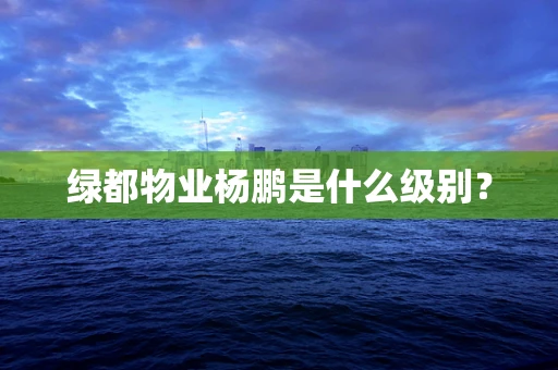 绿都物业杨鹏是什么级别？