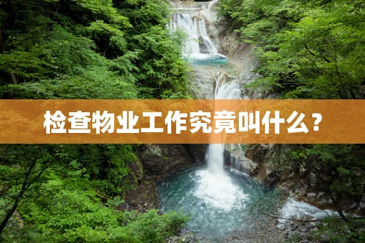 检查物业工作究竟叫什么？