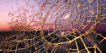 物业法规真的没有弊端吗？