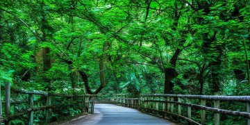 紫藤路物业有什么新消息？