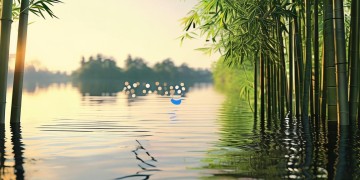 滨湖竹园物业现在收费吗？