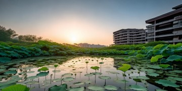 合肥南艳湾的物业究竟叫什么？