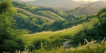 万科物业真的要上山吗？