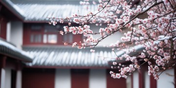 梅花弄小区物业真的可靠吗？